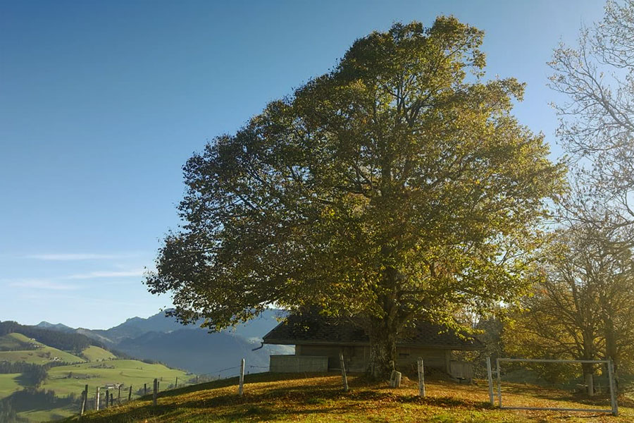 Ökologisch nachhaltig